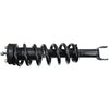 RoadMatic Strut and Coil Spring Assembly - image 2