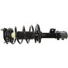 RoadMatic Strut and Coil Spring Assembly - image 2