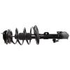 RoadMatic Strut and Coil Spring Assembly - image 1