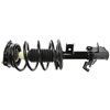 RoadMatic Strut and Coil Spring Assembly - image 2