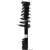 RoadMatic Strut and Coil Spring Assembly - image 1