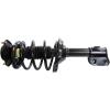 RoadMatic Strut and Coil Spring Assembly - image 1