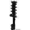 RoadMatic Strut and Coil Spring Assembly - image 1