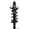 RoadMatic Strut and Coil Spring Assembly - image 1