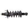 RoadMatic Strut and Coil Spring Assembly - image 2