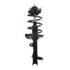RoadMatic Strut and Coil Spring Assembly - image 1