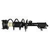 RoadMatic Strut and Coil Spring Assembly - image 1