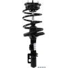 RoadMatic Strut and Coil Spring Assembly - image 1