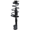 RoadMatic Strut and Coil Spring Assembly - image 1
