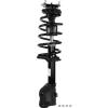 RoadMatic Strut and Coil Spring Assembly - image 1