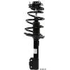 RoadMatic Strut and Coil Spring Assembly - image 1