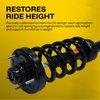 Quick-Strut Strut and Coil Spring Assembly - image 4