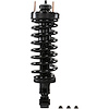 RoadMatic Strut and Coil Spring Assembly - image 1