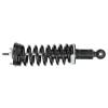 RoadMatic Strut and Coil Spring Assembly - image 1