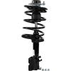 RoadMatic Strut and Coil Spring Assembly - image 1
