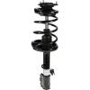 RoadMatic Strut and Coil Spring Assembly - image 1