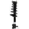 RoadMatic Strut and Coil Spring Assembly - image 1