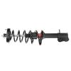 RoadMatic Strut and Coil Spring Assembly - image 1