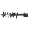 RoadMatic Strut and Coil Spring Assembly - image 2