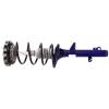 RoadMatic Strut and Coil Spring Assembly - image 1
