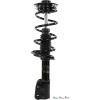 RoadMatic Strut and Coil Spring Assembly - image 1