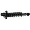 RoadMatic Strut and Coil Spring Assembly - image 1