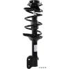 RoadMatic Strut and Coil Spring Assembly - image 1