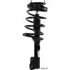 RoadMatic Strut and Coil Spring Assembly - image 1