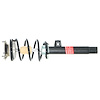 Quick-Strut Strut and Coil Spring Assembly - image 1