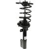 RoadMatic Strut and Coil Spring Assembly - image 1