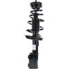 RoadMatic Strut and Coil Spring Assembly - image 1