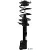 RoadMatic Strut and Coil Spring Assembly - image 1