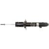 OESpectrum Suspension Strut - image 1