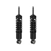 Shock Absorber And Coil Spring Assembly<li>Front<li>Set of 2 - image 1