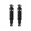 Shock Absorber And Coil Spring Assembly<li>Rear<li>Set of 2 - image 1