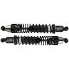 Shock Absorber And Coil Spring Assembly<li>Rear<li>Set of 2 - image 1