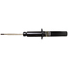 OESpectrum Suspension Strut