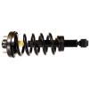 Max-Lift Lift Support - image 1