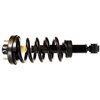 Max-Lift Lift Support - image 2