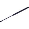Max-Lift Lift Support - image 1