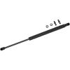 Max-Lift Lift Support - image 1
