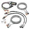 Wideband Lambda Sensor / 0-5v Interface 2 Channel - image 1