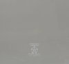 Replacement Windshield 1968-1970 Mopar B-Body Hardtop - image 3