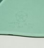 560-2067-TR Vent Glass, Green Tint, RH, 68-72 Dart - image 3