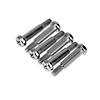 69 Std/RS Park Lens Screws 6 pcs - image 1
