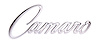 Fender Emblem - image 1