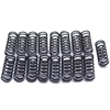 F2575 Reverse Spring Kit for GM Powerglide - image 1