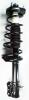 1331008L Suspension Strut and Coil Spring Assembly - image 1