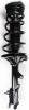 1331060L Suspension Strut and Coil Spring Assembly - image 1