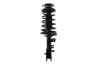 1331573L Suspension Strut and Coil Spring Assembly - image 1